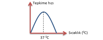 Reaksiyon hızı-sıcaklık ilişkisi